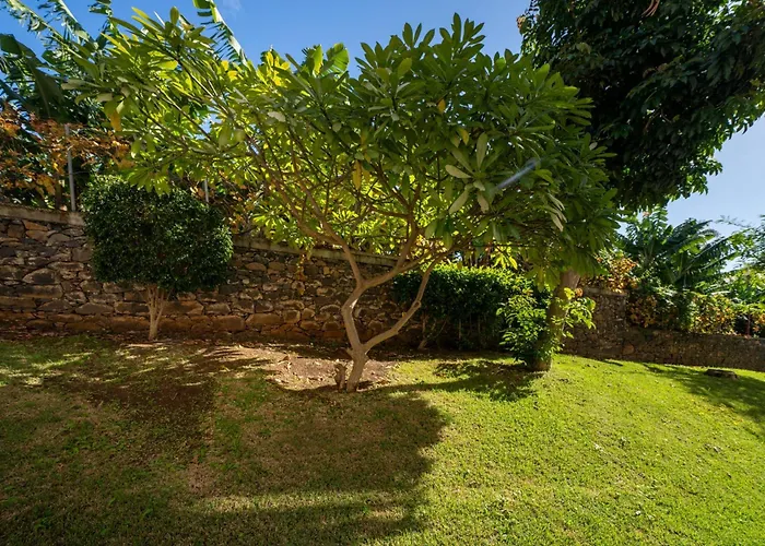 White House I With Garden View * Funchal (Madeira)