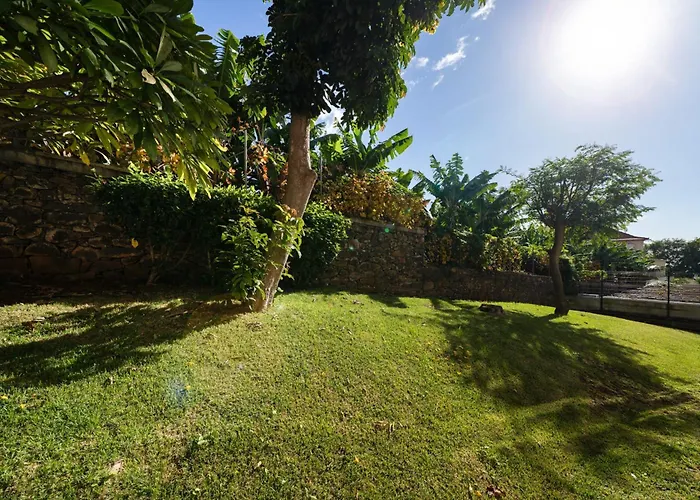 White House I With Garden View Apartment Funchal (Madeira)