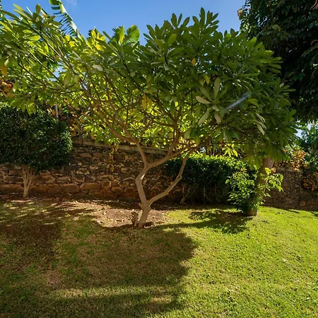 White House I With Garden View * פונשל