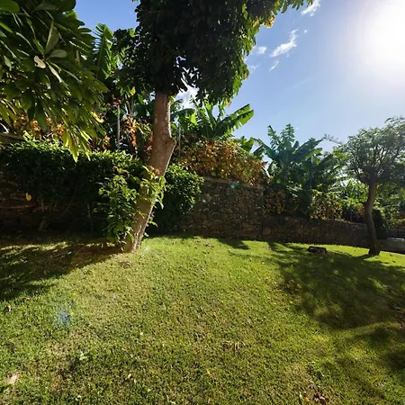 White House I With Garden View Apartamento Funchal (Madeira)